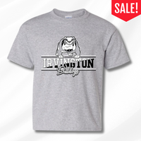 *SALE* Unisex Sport Grey T-Shirt (Adult & Youth) - Limited sizes
